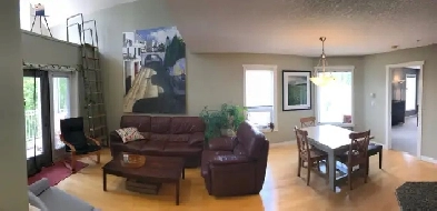 Kensington Penthouse Condo, 2BD   3rd BD LOFT, furnished Image# 7