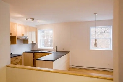 PLATEAU Mont-Royal 7 1/2 NEUF! Libre immédiatement Métro Laurier Image# 1