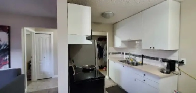 Newly Renovated Apartment Available! Image# 2