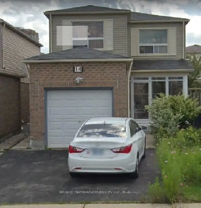 Amazing - For Rent In Scarborough - Utilities Included Image# 4