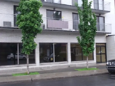 Beau 2 1/2 dans Rosemont, 875$, JUILLET! Image# 1