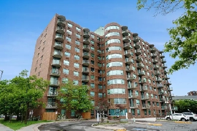 2 BED 2 BATH CONDO FOR RENT HERON ROAD Image# 4