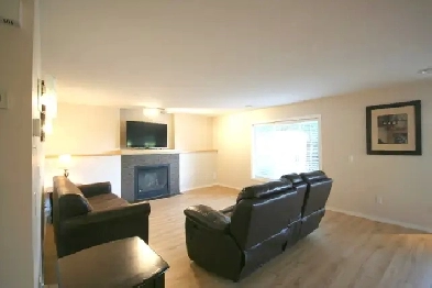 Bright & Beautiful Fully Furnished 1 Bdm 1 Bath Edgemont Walkout Image# 8