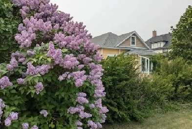 Beautiful character home for sale by owner Image# 2