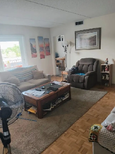 Room for rent in a 2 bedroom apartment Image# 8