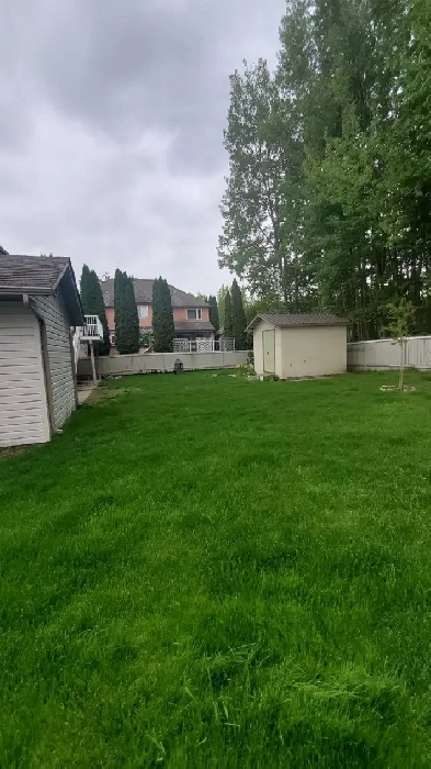 JUNE 1, 3 BEDS/2 BATHS HOUSE WITH GARAGE, COLLEGE HEIGHTS Image# 4