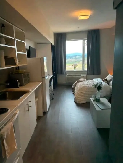 One Bedroom Apartment for rent down the road from UBCO Campus Image# 3