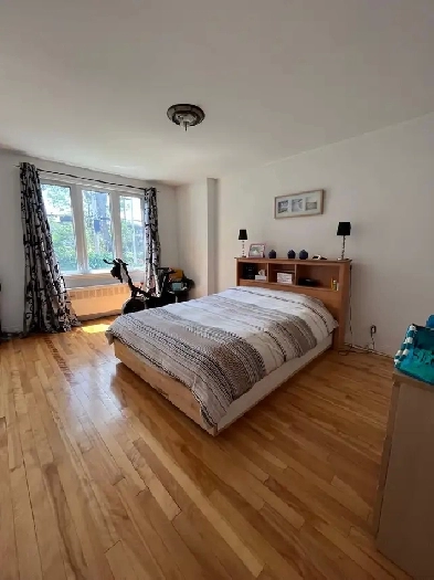 2250$ - 5 1/2 à louer à NDG / 5 1/2 for rent in NDG Image# 6
