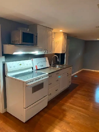 Basement apartment Image# 9
