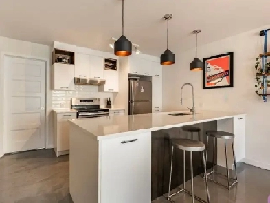 Rosemont ,petite patrie ,rue St hubert , 4 1//2 neuf , juillet Image# 9