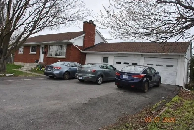 Furnished Basement Room for rent Baseline and Merivale Rd. Image# 2