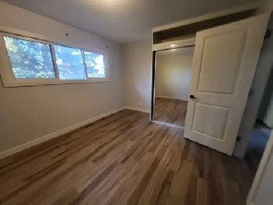 Room for Rent - $700 (main floor of house, large back yard!) Image# 2