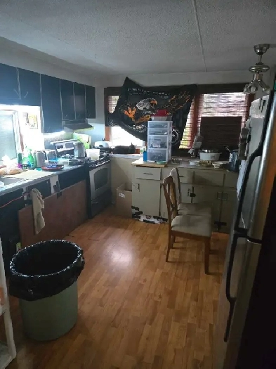 Mobile Home Image# 5