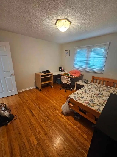 1 Spacious Bedroom for rent 16th Kennedy Image# 2