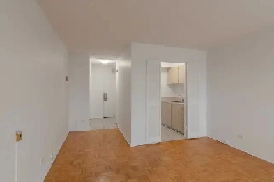 studio apartment for rent near Guy-Concordia - ID 3980 Image# 1