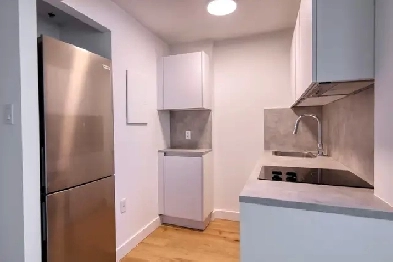 renovated studio apartment near blvd Saint-Laurent - ID 3829 Image# 6