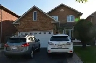 Beautiful Basement apt for rent: $2000.00/mthly. Utilities incl. Image# 2