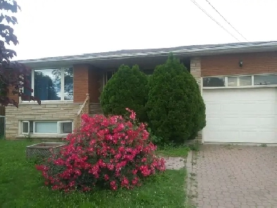 Room for Rent Image# 1