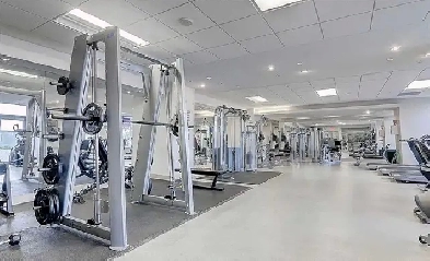 1bedrroom den luxury condo on Yonge and steels Image# 1