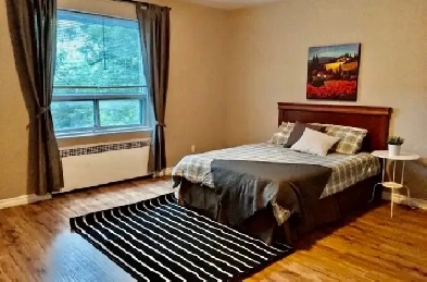 Newly Renovated Apartment near metro Snowdon station Image# 3