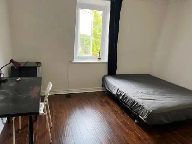 Downtown College&Bathurst 1bedroom with bathroom available July1 Image# 1