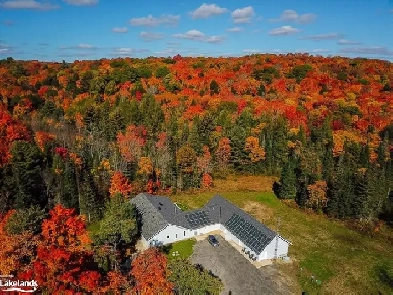 Newly Renovated 1-bedroom (All Inclusive with A/C & Internet) Image# 1