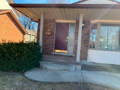 Rooms for rent near Conestoga Doon Campus Image# 1