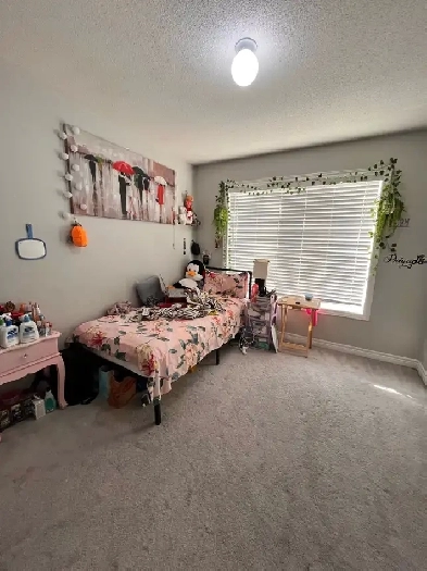 room for rent Image# 1