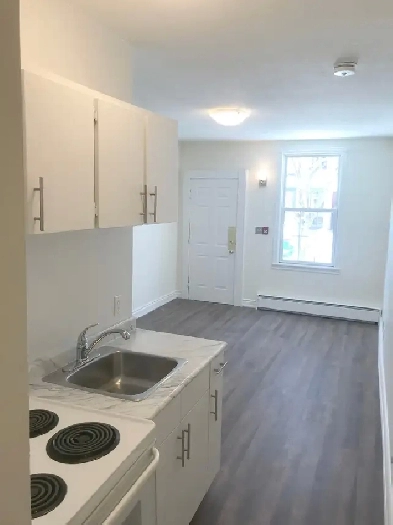 Studio Apt in Roncesvalles Image# 7
