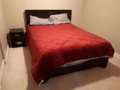 2 Bedroom B/ Suite  FULLY FURNISHED  Available June 1 Image# 7