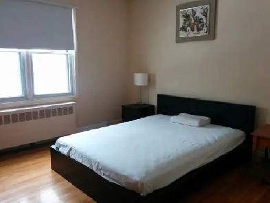 Private single bedroom for rent/Metro du College Image# 1