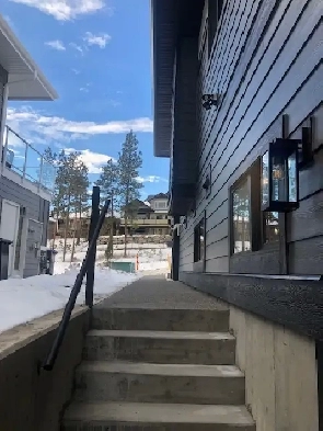 NEW 2 BEDROOM BASEMENT SUITE RENTAL Image# 1