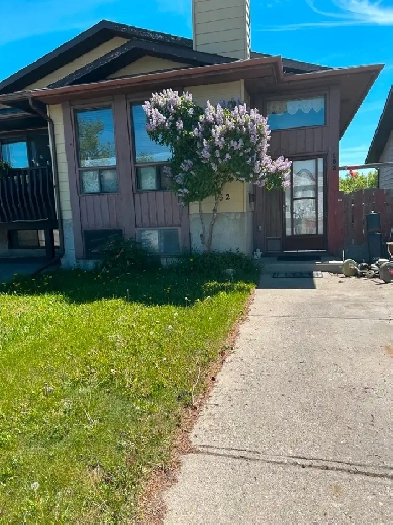 Quiet room for rent in Falcon Ridge N.E. Image# 1