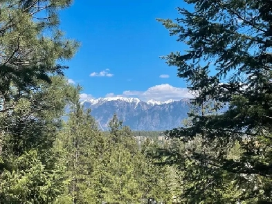 FOR SALE – 9.5 Acres | Skookumchuck, BC | $299,000 Image# 6