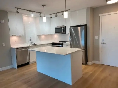 Brand New 2 bedroom 2bathroom Apartment for rent Image# 2