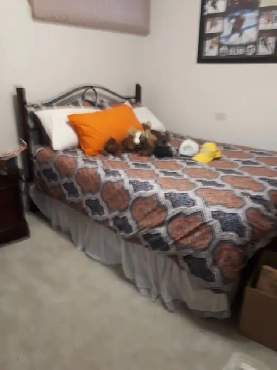 June 1st,  Large Furnished Room Image# 1