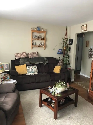 2 bedroom apartment Image# 7