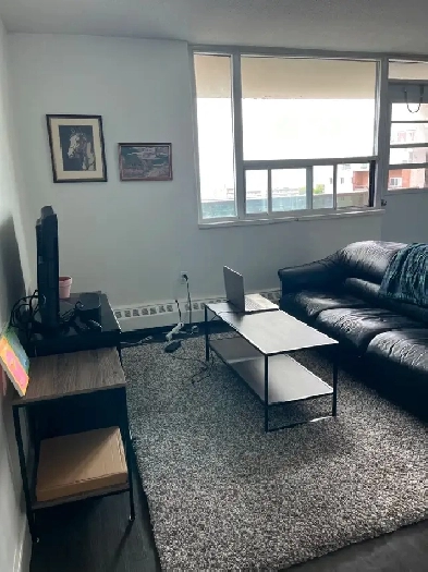 Room for Rent Image# 12