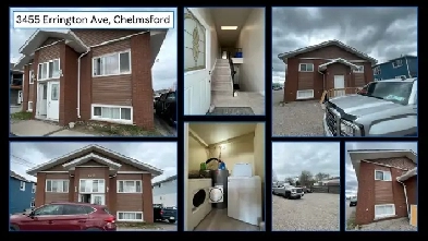 Chelmsford Cozy 1 Bedroom, Mature Neighbours Image# 2