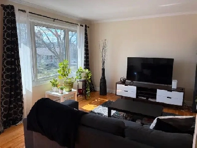 5 1/2 à Laval Image# 1