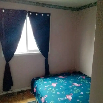 private room for rent. Image# 1