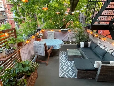 Grand 5 1/2 lumineux avec terrasse - Mile End - Dispo 6 juillet Image# 10