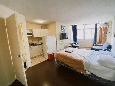 Furnished bachelor studio, Dundas/College Station, TMU, asap Image# 11