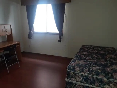 Room Near University for Rent Image# 3