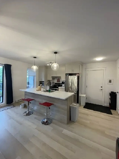 Appartement 4 1/2 à louer Image# 2