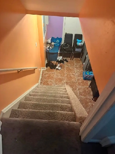 Studio Basement Apartment- Females only Image# 1