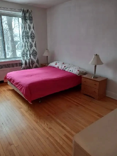 Grande chambre à louer métro villa Maria Image# 1