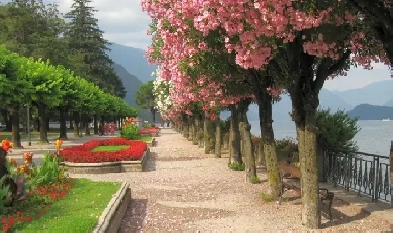 Beautiful Furnished Room for Rent for Female Student/Working Image# 1