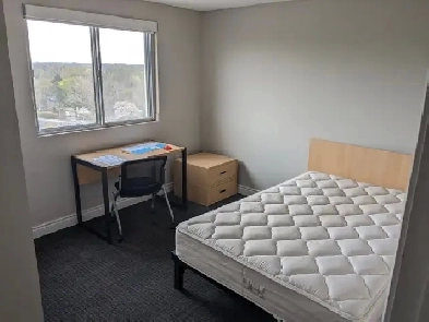 Student Sublet / Lease Takeover Image# 5
