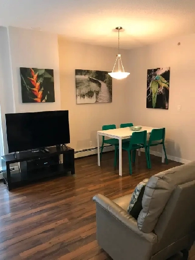 Furnished Downtown Condo for Rent Image# 7